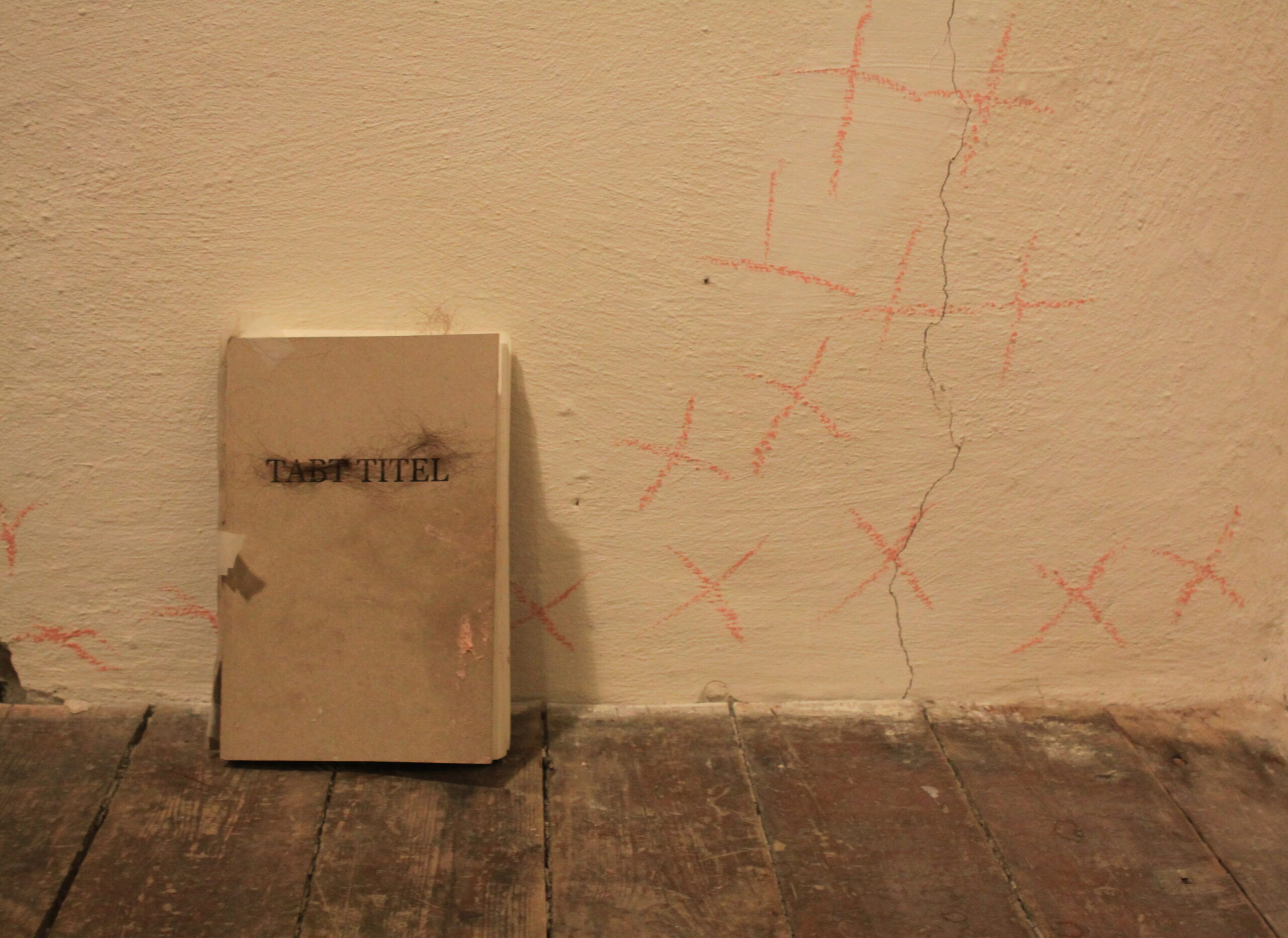 Tabt Titel i Astrid Noacks Atelier december 2022 Moribund Performance, Sara Hamming, Anja Jacobsen