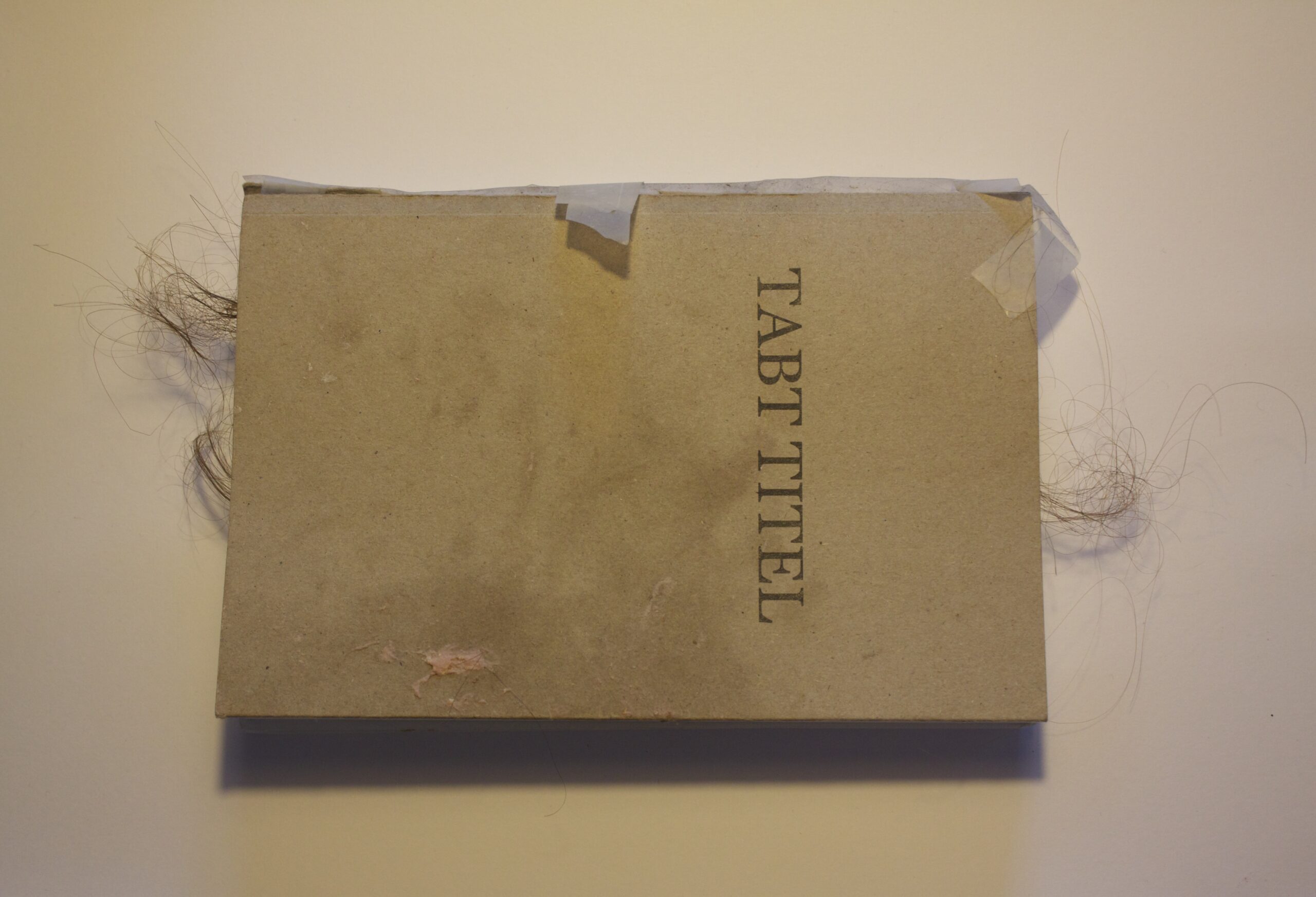 Tabt Titel, Sara Hamming/ Moribund Performance Tabt Titel, Sara Hamming/ Moribund Performance