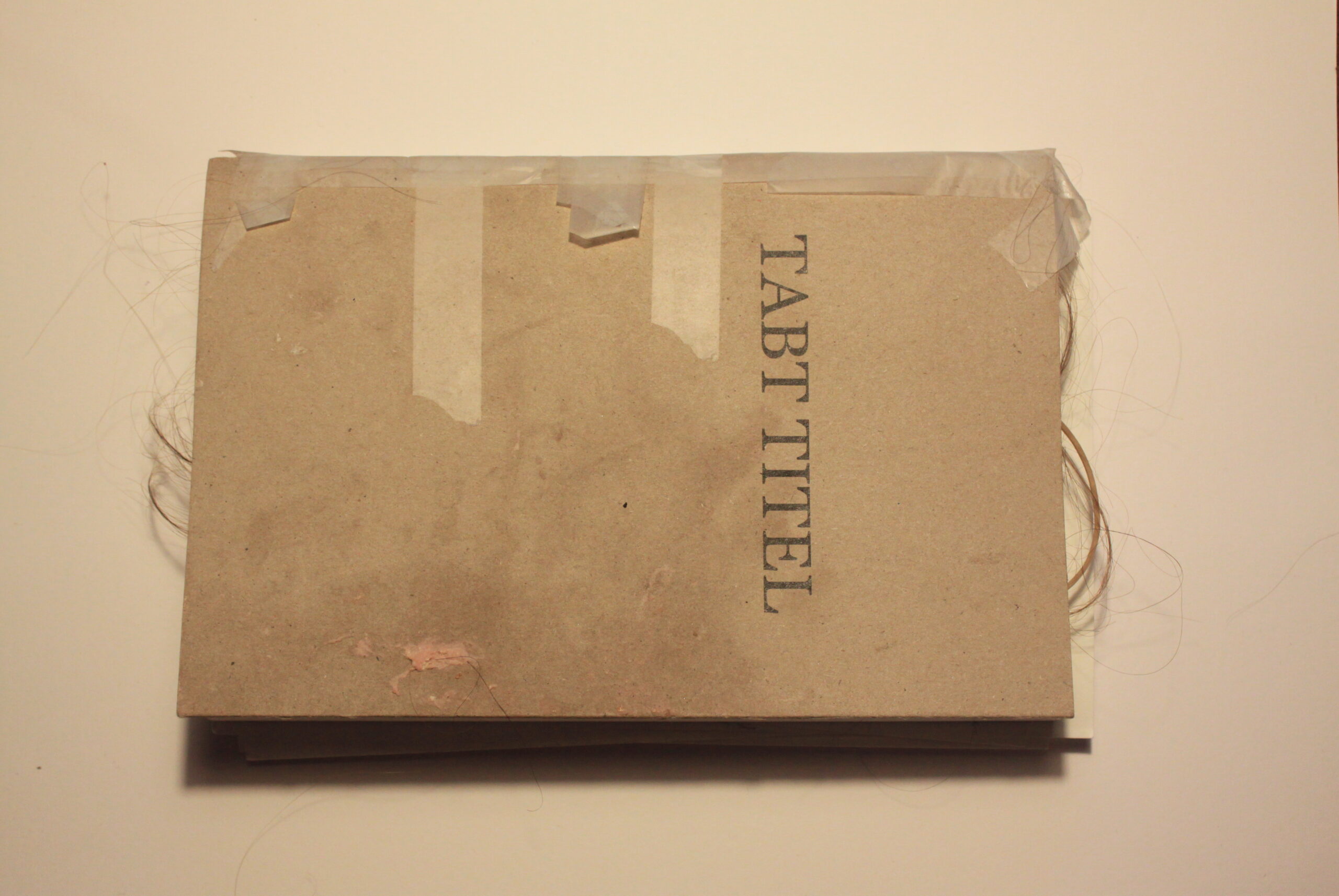 Tabt Titel Sara Hamming / Moribund Performance Tabt Titel Sara Hamming / Moribund Performance
