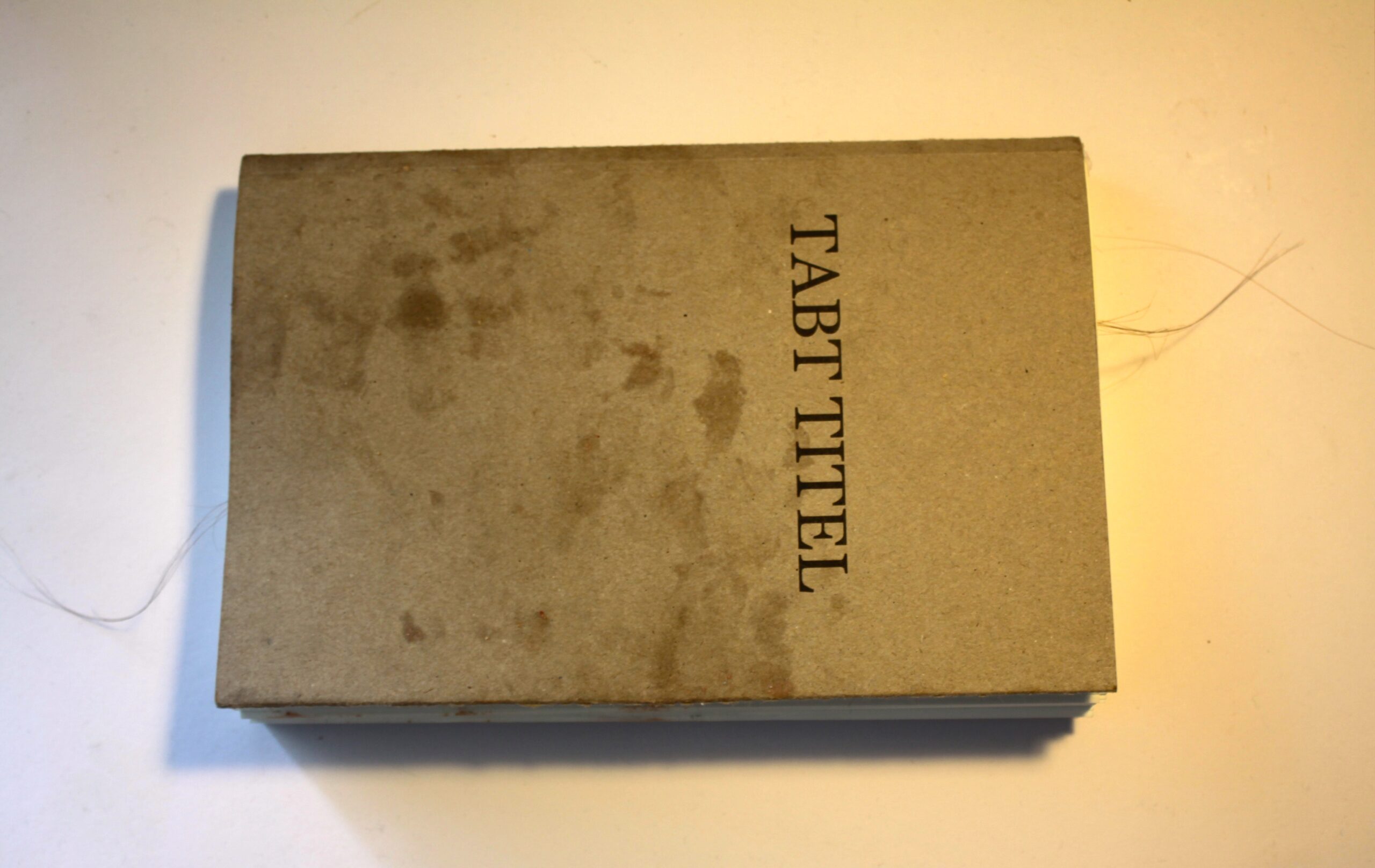 Tabt Titel Moribund Performance / Sara Hamming Tabt Titel Moribund Performance / Sara Hamming